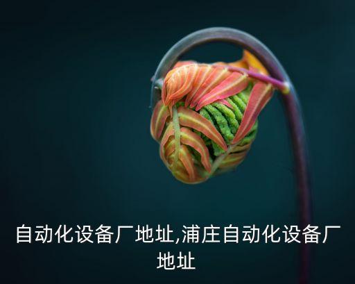 火炬自動化設(shè)備廠地址,浦莊自動化設(shè)備廠地址