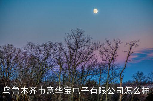 烏魯木齊市意華寶電子有限公司怎么樣