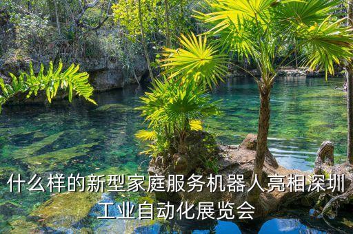 未來(lái)機(jī)器人家政,未來(lái)保姆機(jī)器人的發(fā)展趨勢(shì)有哪些?