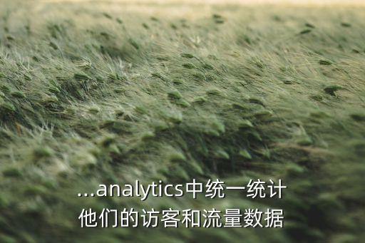 ...analytics中統(tǒng)一統(tǒng)計(jì)他們的訪客和流量數(shù)據(jù)