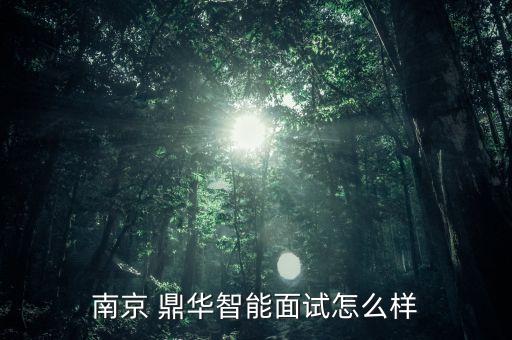 南京 鼎華智能面試怎么樣