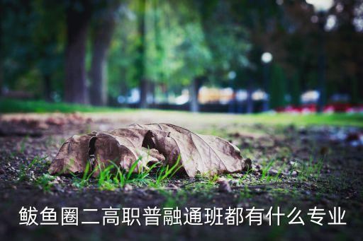  鲅魚圈二高職普融通班都有什么專業(yè)
