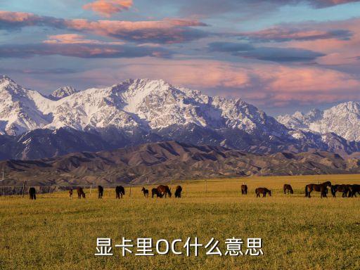 顯卡里OC什么意思