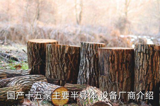 國(guó)產(chǎn)十五家主要半導(dǎo)體 設(shè)備廠商介紹