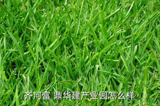 齊河富 鼎華建產(chǎn)業(yè)園怎么樣