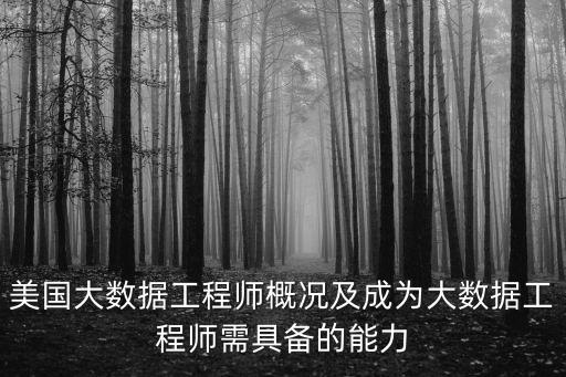美國大數(shù)據(jù)工程師概況及成為大數(shù)據(jù)工程師需具備的能力