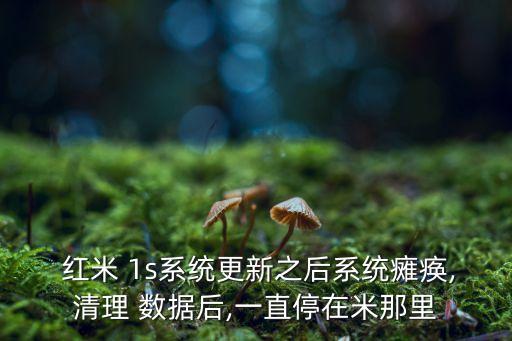  紅米 1s系統(tǒng)更新之后系統(tǒng)癱瘓,清理 數(shù)據(jù)后,一直停在米那里