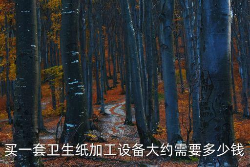 買一套衛(wèi)生紙加工設(shè)備大約需要多少錢