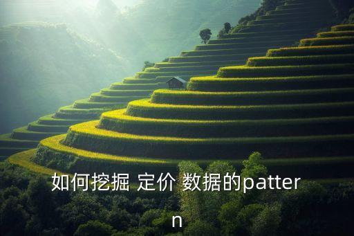 如何挖掘 定價 數(shù)據(jù)的pattern