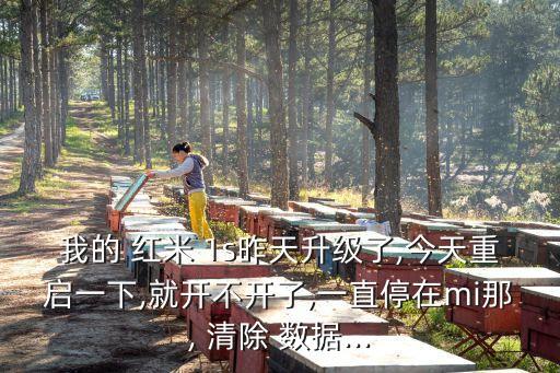 我的 紅米 1s昨天升級(jí)了,今天重啟一下,就開不開了,一直停在mi那, 清除 數(shù)據(jù)...