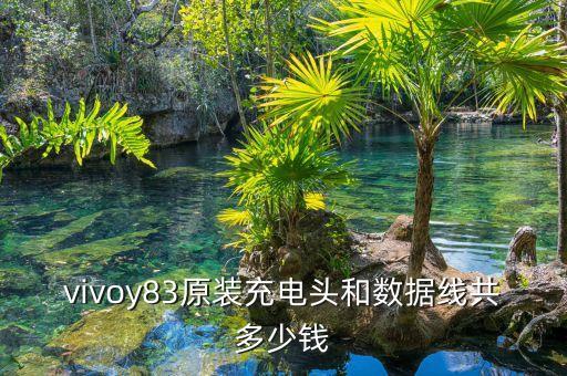 vivo原配數(shù)據(jù)線,關(guān)于vivo數(shù)據(jù)線你必須知道的事情