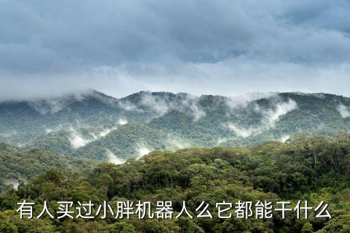 進(jìn)化者機(jī)器人小胖多少錢一臺(tái),進(jìn)化者機(jī)器人小胖有人買嗎?