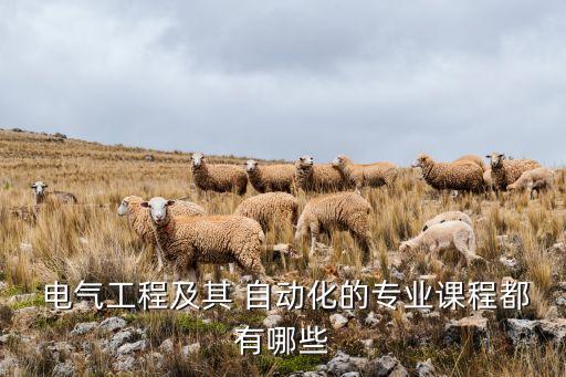 山東交通大學(xué)電氣工程自動化,山東春季高考電氣工程及其自動化