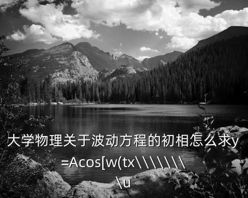 大學(xué)物理關(guān)于波動(dòng)方程的初相怎么求y=Acos[w(tx\\\\\\\\u