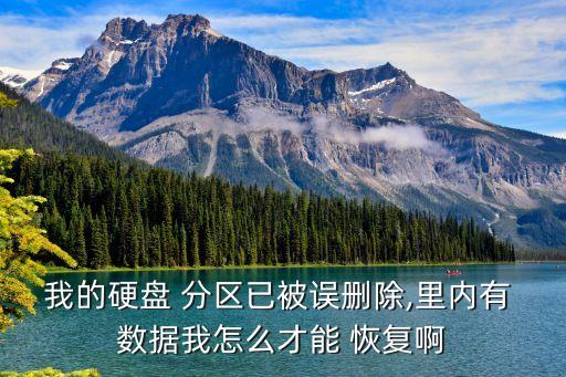 我的硬盤(pán) 分區(qū)已被誤刪除,里內(nèi)有 數(shù)據(jù)我怎么才能 恢復(fù)啊