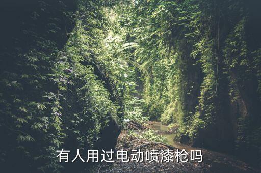 有人用過電動噴漆槍嗎