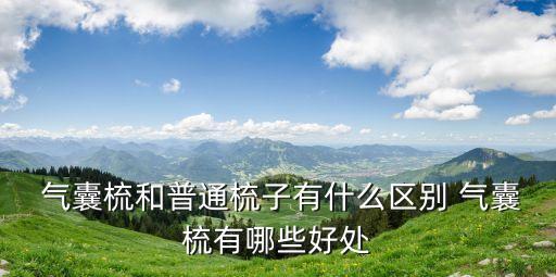  氣囊梳和普通梳子有什么區(qū)別 氣囊梳有哪些好處