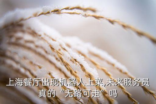 上海餐廳出現(xiàn)機(jī)器人上菜,未來(lái)服務(wù)員真的“無(wú)路可走”嗎