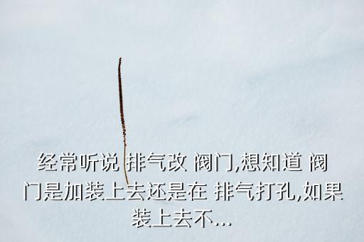 經(jīng)常聽說 排氣改 閥門,想知道 閥門是加裝上去還是在 排氣打孔,如果裝上去不...