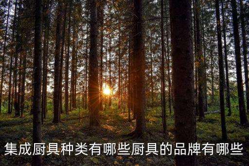 集成廚具種類有哪些廚具的品牌有哪些