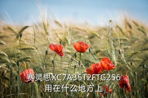塞琳思自動化公司