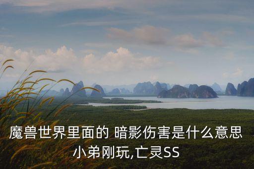 魔獸世界里面的 暗影傷害是什么意思小弟剛玩,亡靈SS