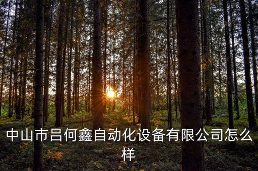 中山市呂何鑫自動(dòng)化設(shè)備有限公司怎么樣