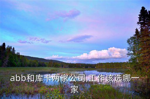 庫卡機器人集團,為什么德國庫卡機器人愿意被收購?