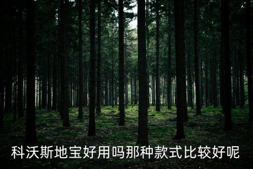 科沃斯地寶好用嗎那種款式比較好呢