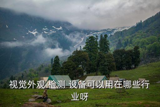 視覺(jué)外觀 檢測(cè) 設(shè)備可以用在哪些行業(yè)呀