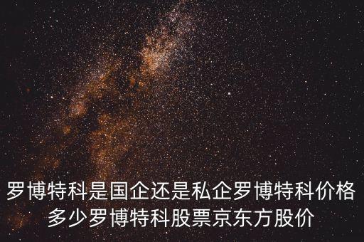 羅博特科是國(guó)企還是私企羅博特科價(jià)格多少羅博特科股票京東方股價(jià)