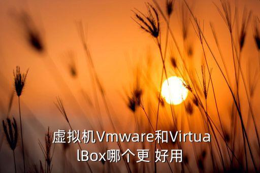  虛擬機Vmware和VirtualBox哪個更 好用