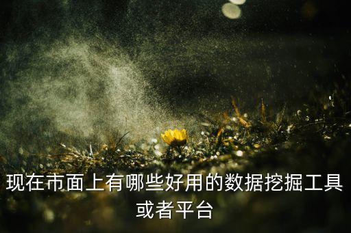 現(xiàn)在市面上有哪些好用的數(shù)據(jù)挖掘工具或者平臺(tái)