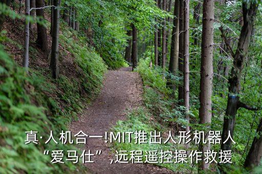 援救機(jī)器人,中國(guó)研制消防救援機(jī)器人和無(wú)人機(jī)協(xié)助應(yīng)對(duì)火災(zāi)