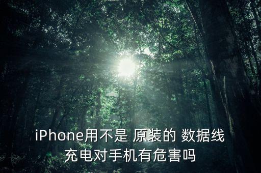 iPhone用不是 原裝的 數(shù)據(jù)線充電對手機有危害嗎