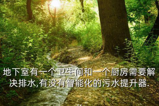 地下室有一個衛(wèi)生間和一個廚房需要解決排水,有沒有智能化的污水提升器...