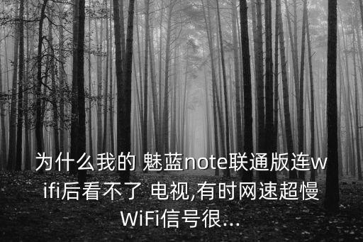 為什么我的 魅藍(lán)note聯(lián)通版連wifi后看不了 電視,有時(shí)網(wǎng)速超慢WiFi信號(hào)很...