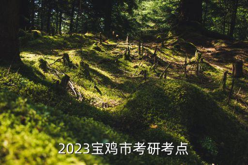 寶雞學院電氣自動化考研,電氣自動化專業(yè)考研院校有哪些?