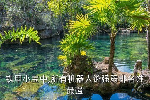 lihai機(jī)器人,納米機(jī)器人厲害嗎?