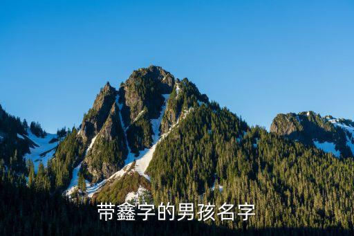 帶鑫字的男孩名字