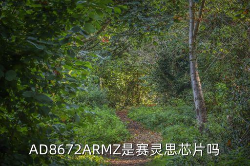 AD8672ARMZ是賽靈思芯片嗎