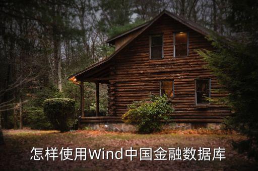 怎樣使用Wind中國金融數(shù)據(jù)庫