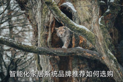 智能化家居系統(tǒng)品牌推薦如何選購