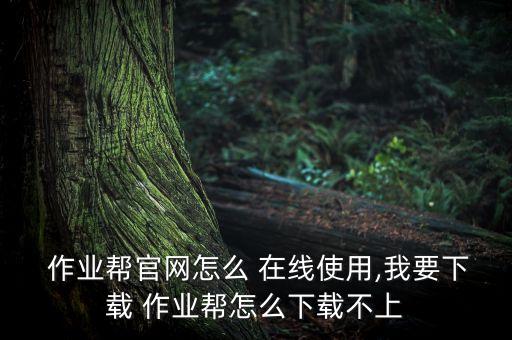  作業(yè)幫官網(wǎng)怎么 在線使用,我要下載 作業(yè)幫怎么下載不上