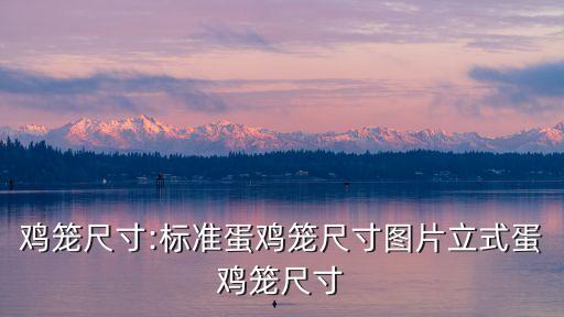 雞籠尺寸:標(biāo)準(zhǔn)蛋雞籠尺寸圖片立式蛋雞籠尺寸