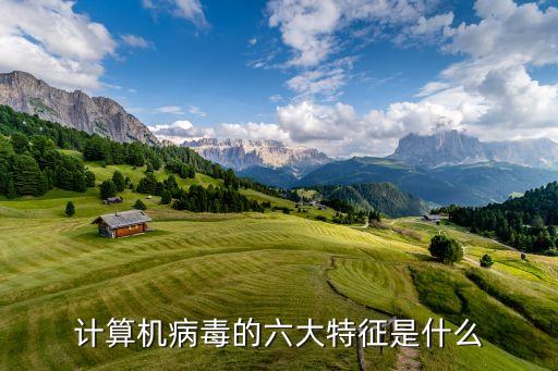 計(jì)算機(jī)病毒的六大特征是什么
