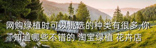 淘寶數據 花卉,淘寶花卉購物qq群