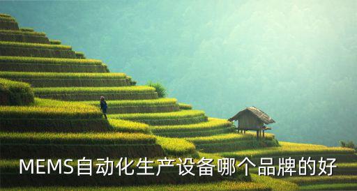 MEMS自動化生產(chǎn)設備哪個品牌的好