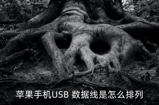 蘋果手機USB 數(shù)據(jù)線是怎么排列
