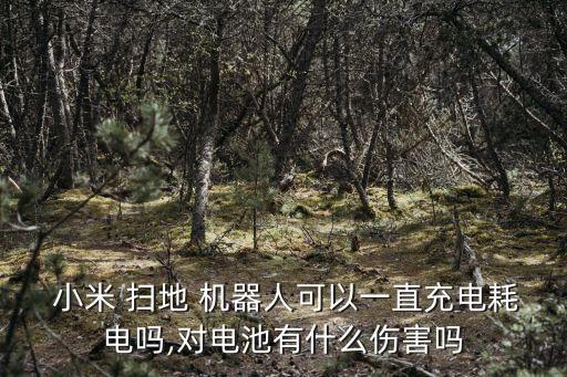  小米 掃地 機(jī)器人可以一直充電耗電嗎,對(duì)電池有什么傷害嗎